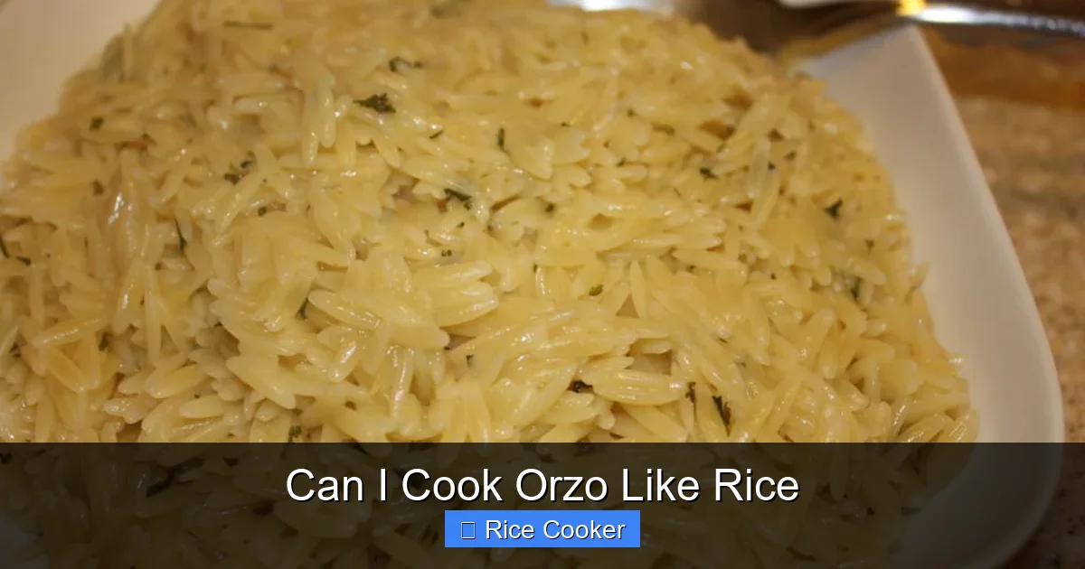 Can I Cook Orzo Like Rice