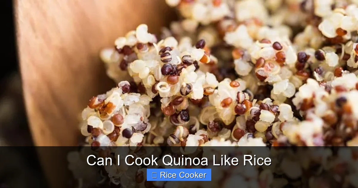 Can I Cook Quinoa Like Rice