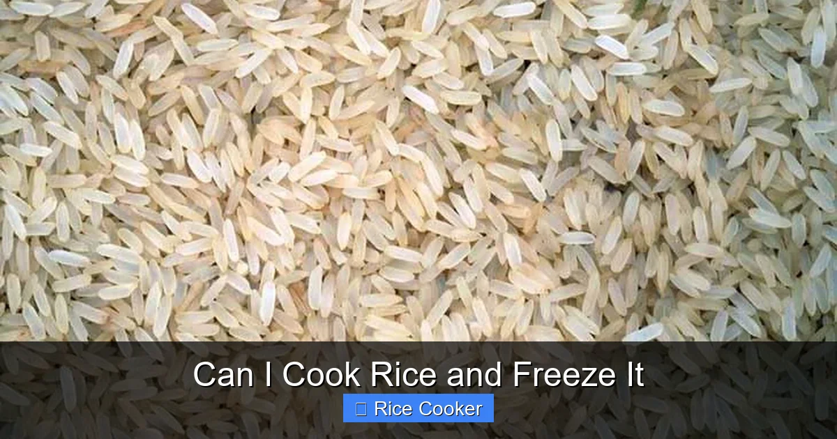 Can I Cook Rice and Freeze It