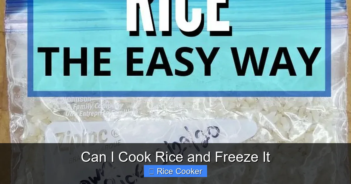 Can I Cook Rice and Freeze It