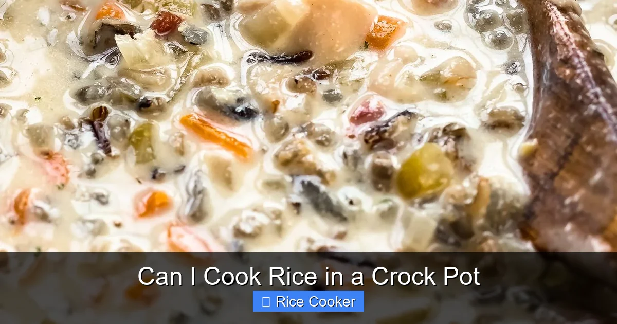 Can I Cook Rice in a Crock Pot