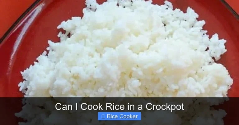 Can I Cook Rice in a Crockpot