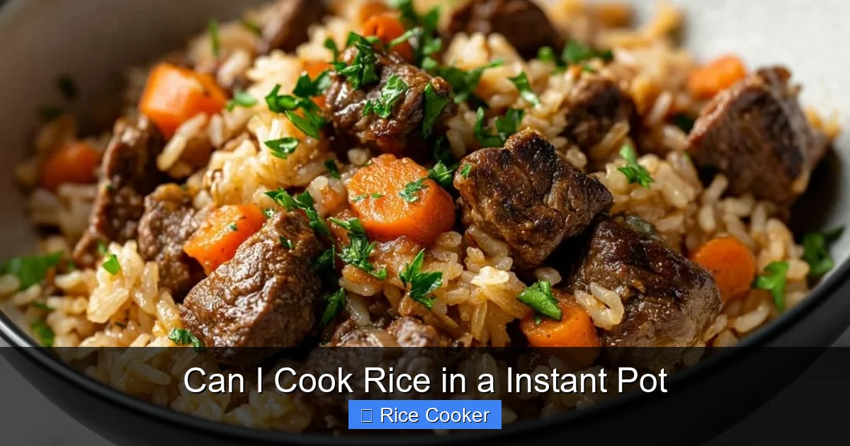 Can I Cook Rice in a Instant Pot
