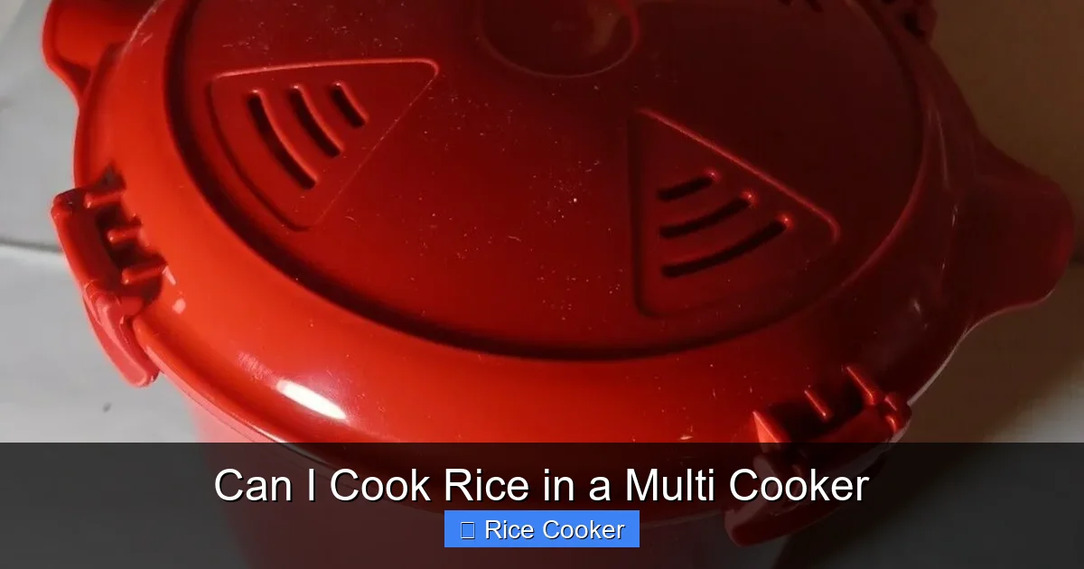 Can I Cook Rice in a Multi Cooker