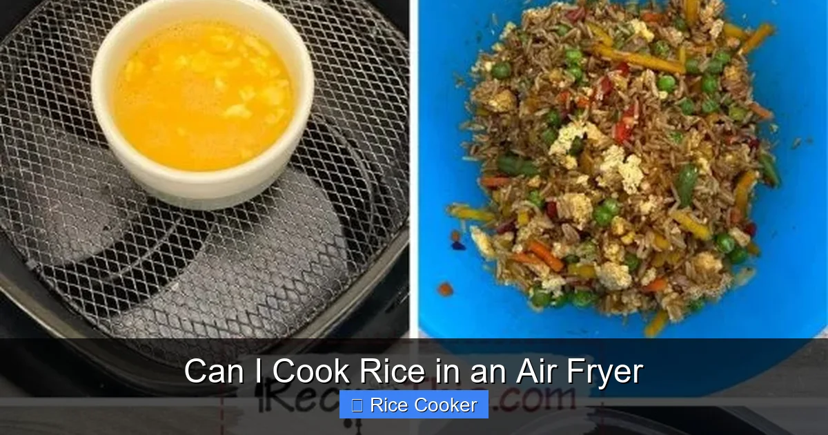 Can I Cook Rice in an Air Fryer - Kitchen Zoes