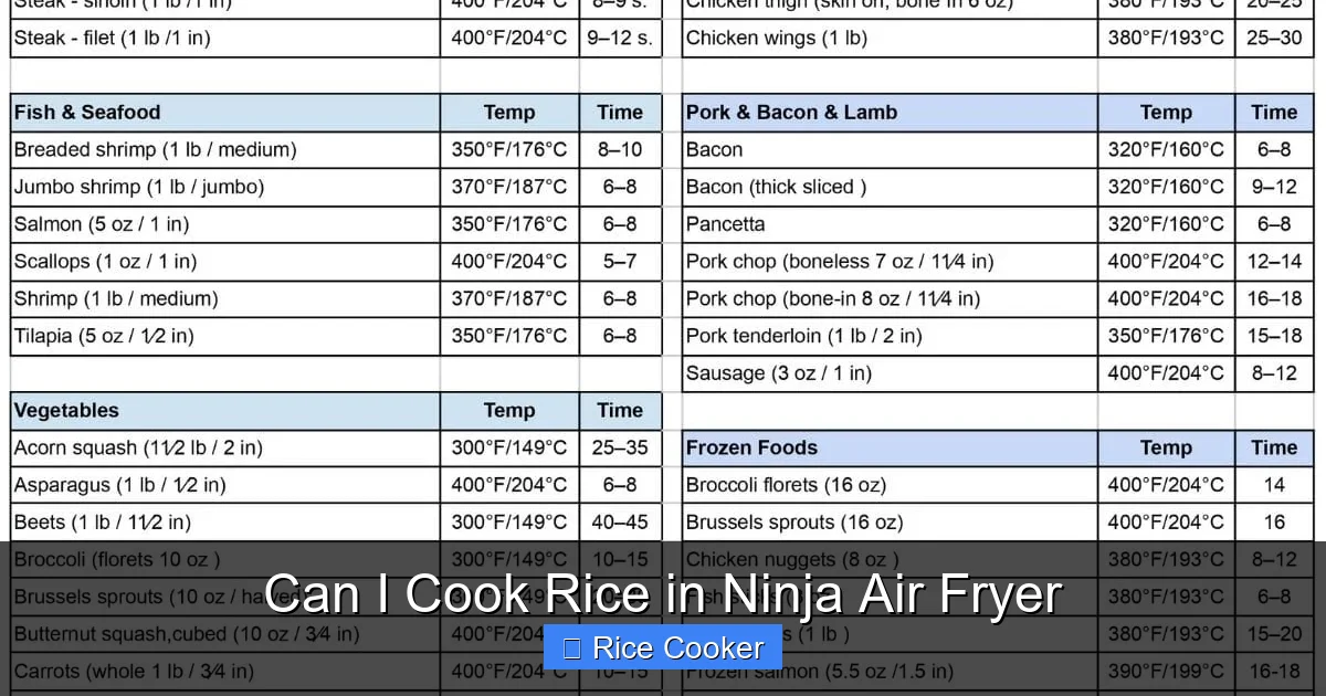 Can I Cook Rice in Ninja Air Fryer