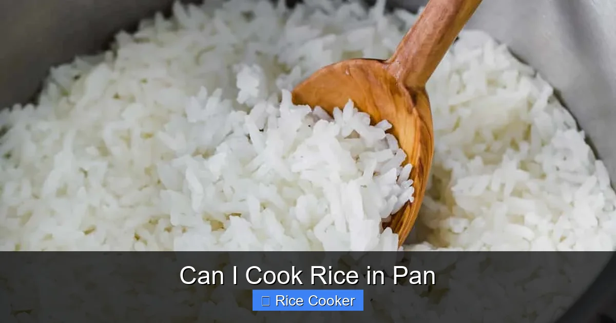 Can I Cook Rice in Pan