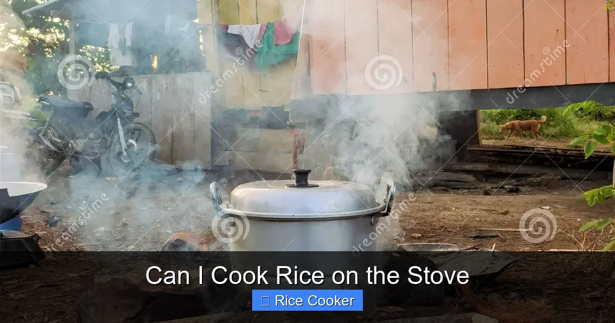 Can I Cook Rice on the Stove