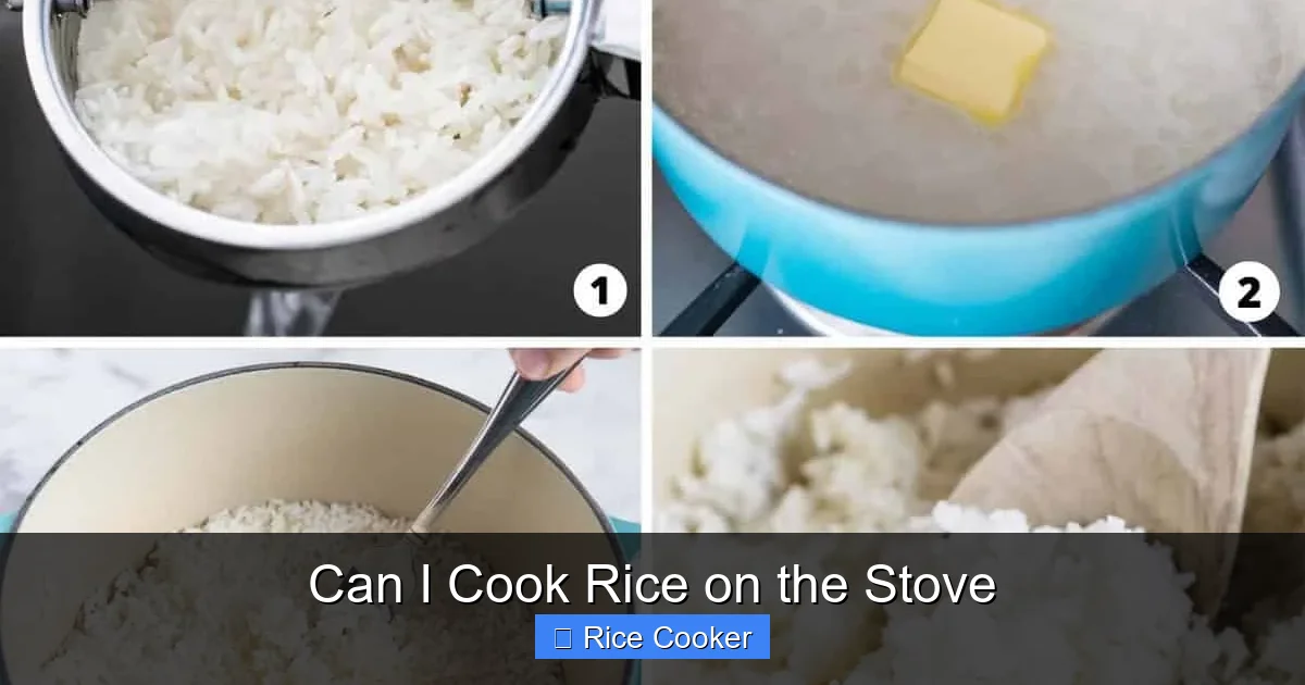 Can I Cook Rice on the Stove