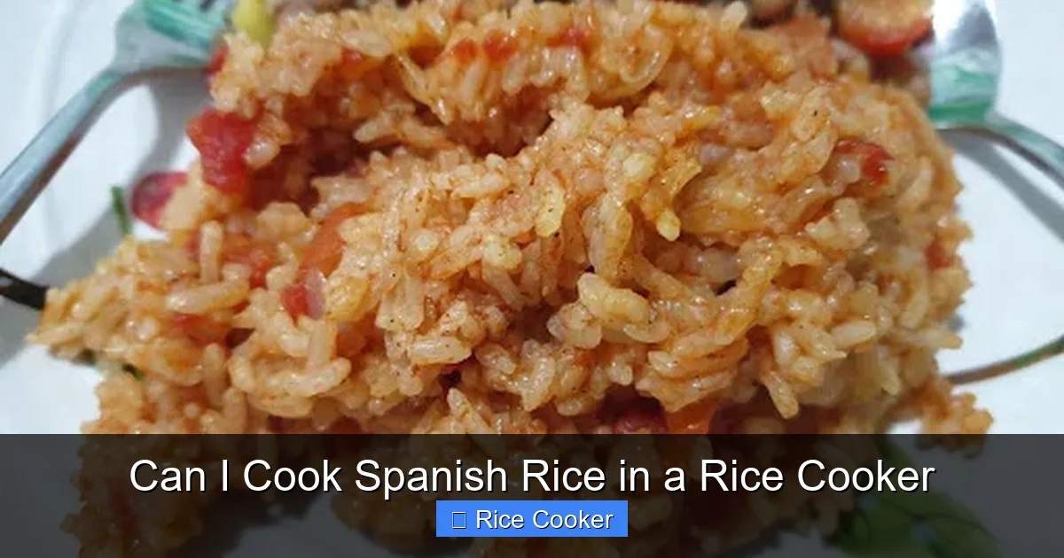 Can I Cook Spanish Rice in a Rice Cooker