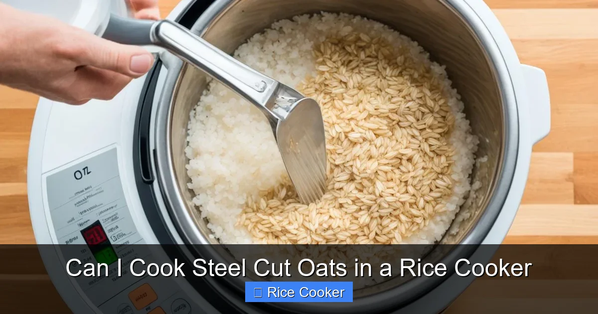 Can I Cook Steel Cut Oats in a Rice Cooker
