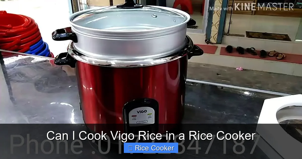 Can I Cook Vigo Rice in a Rice Cooker
