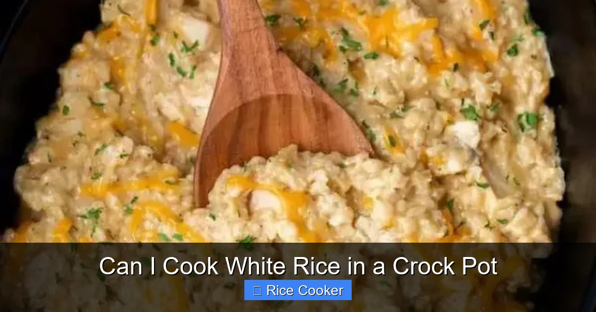 Can I Cook White Rice in a Crock Pot