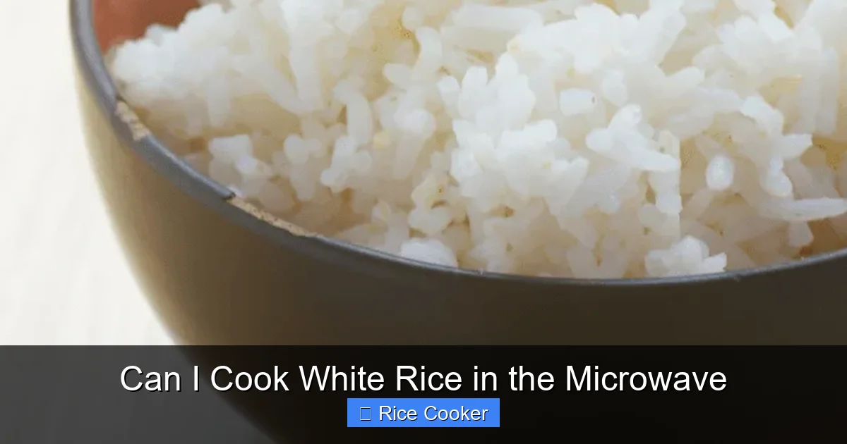 Can I Cook White Rice in the Microwave