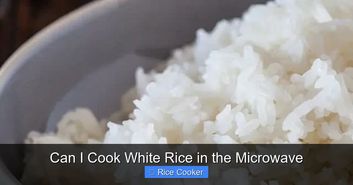 Can I Cook White Rice in the Microwave
