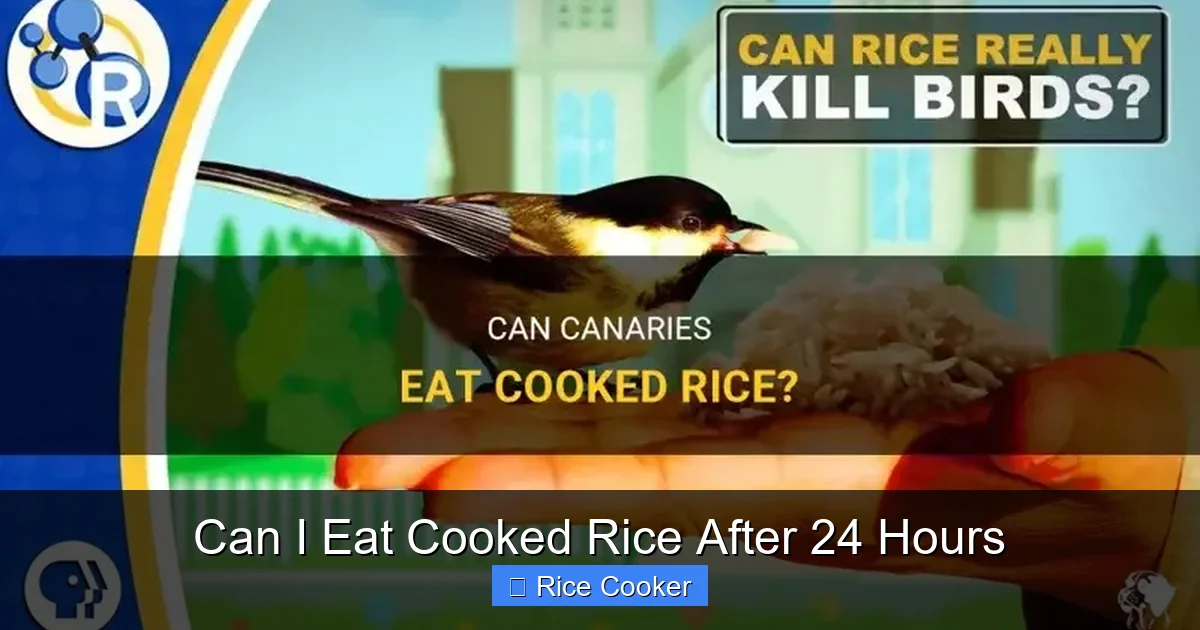 Can I Eat Cooked Rice After 24 Hours