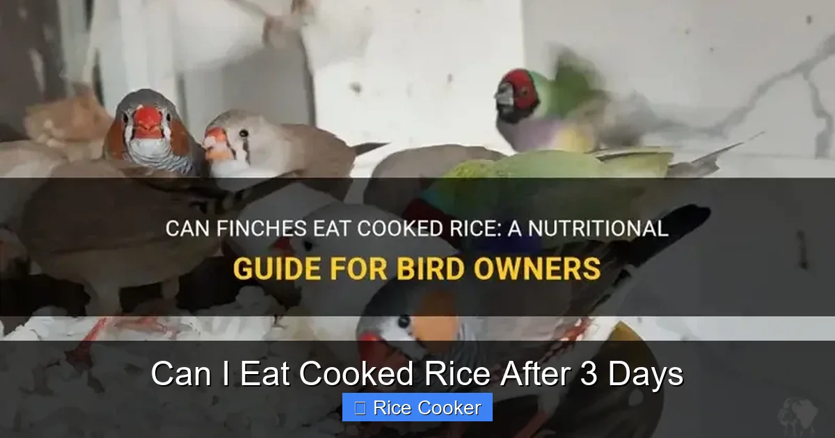 Can I Eat Cooked Rice After 3 Days