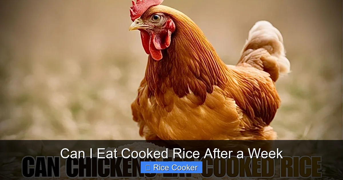 Can I Eat Cooked Rice After a Week