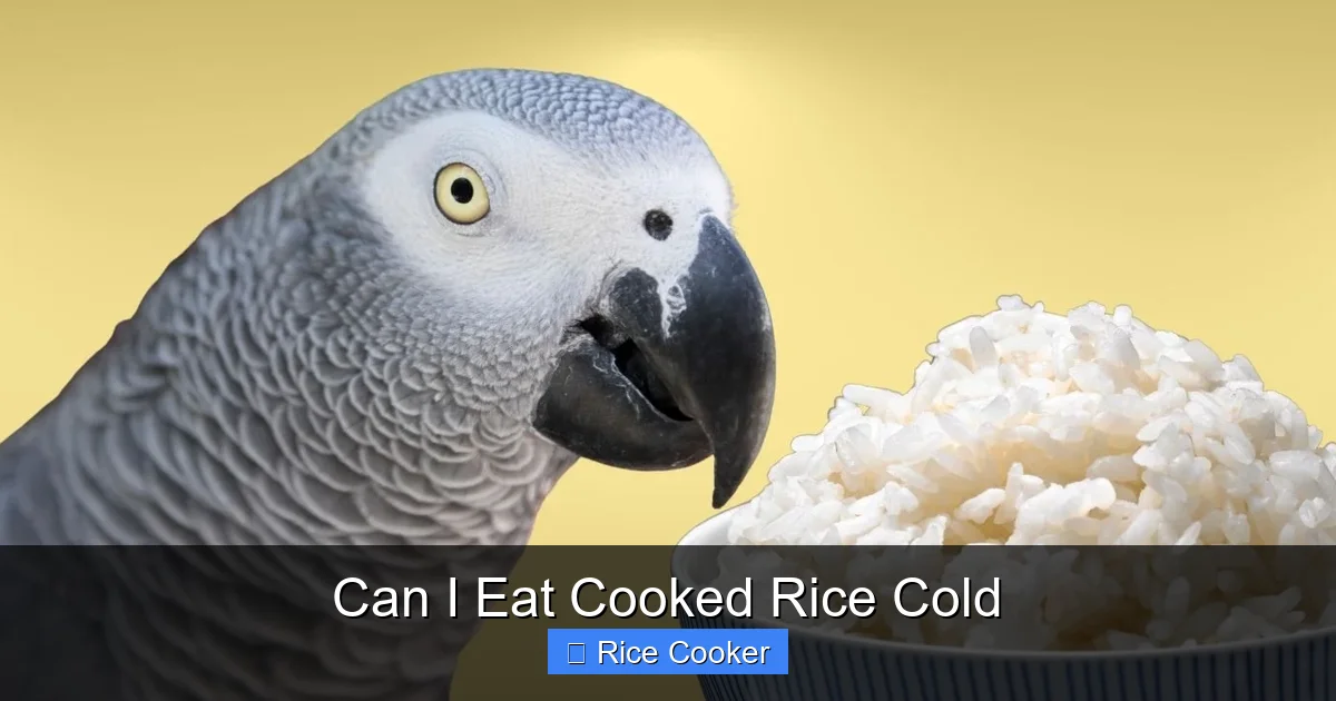 Can I Eat Cooked Rice Cold