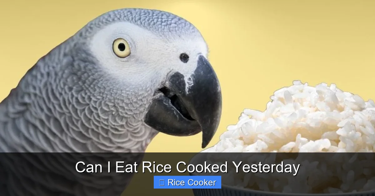 Can I Eat Rice Cooked Yesterday