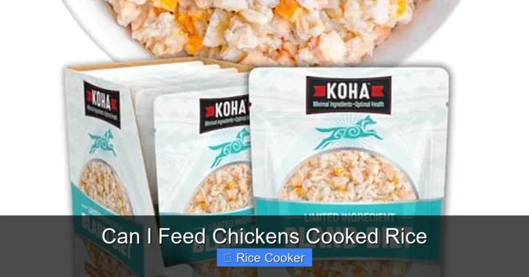 Can I Feed Chickens Cooked Rice