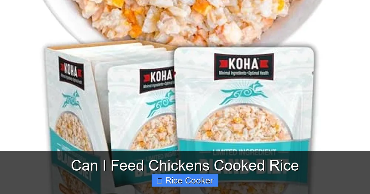Can I Feed Chickens Cooked Rice - Kitchen Zoes