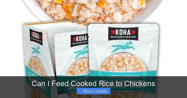Can I Feed Cooked Rice to Chickens