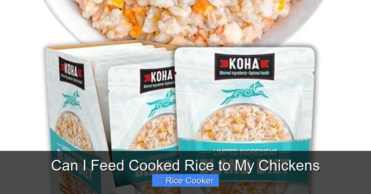 Can I Feed Cooked Rice to My Chickens