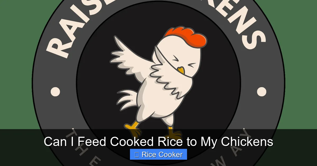 Can I Feed Cooked Rice to My Chickens