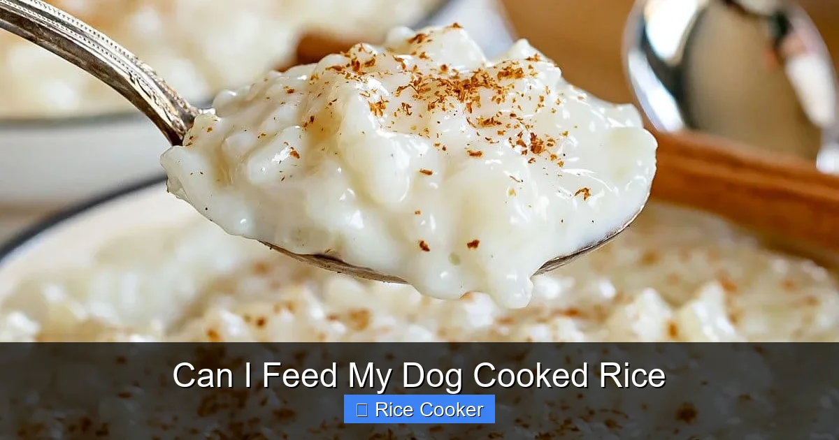 Can I Feed My Dog Cooked Rice