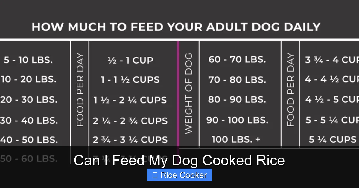 Can I Feed My Dog Cooked Rice