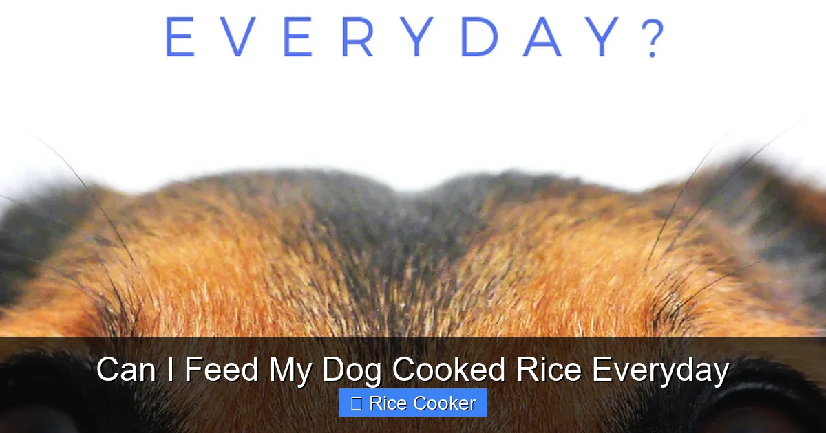 Can I Feed My Dog Cooked Rice Everyday