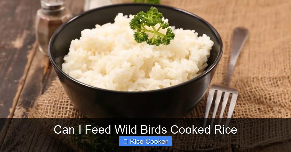 Can I Feed Wild Birds Cooked Rice