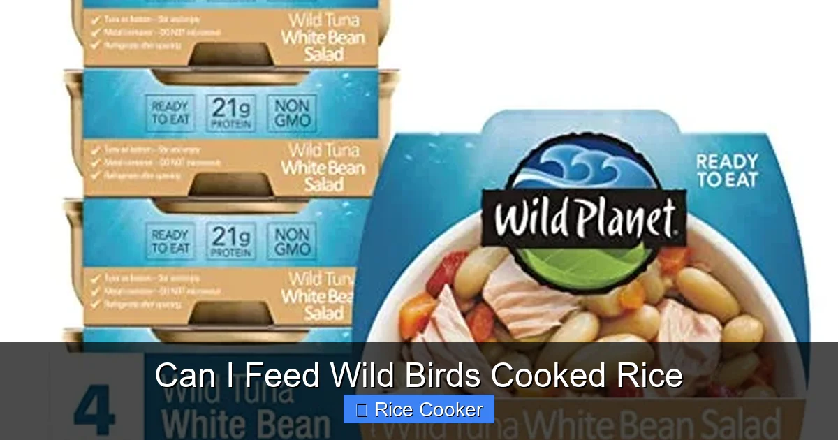 Can I Feed Wild Birds Cooked Rice