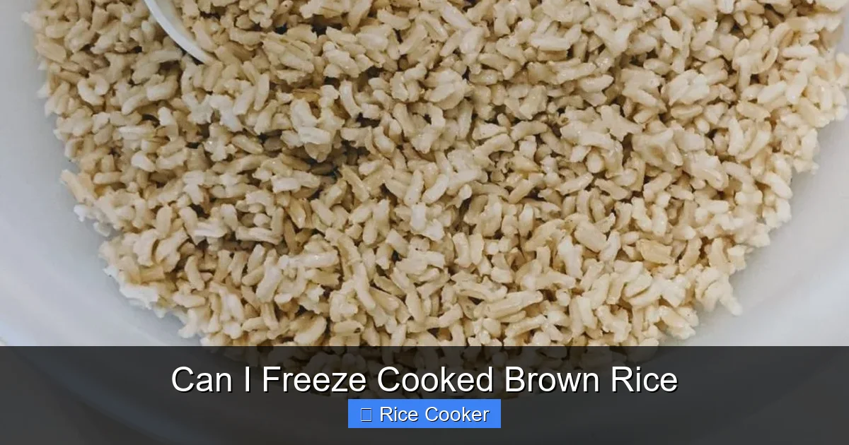 Can I Freeze Cooked Brown Rice