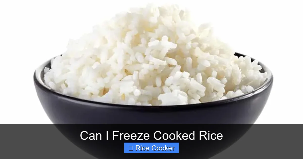 Can I Freeze Cooked Rice