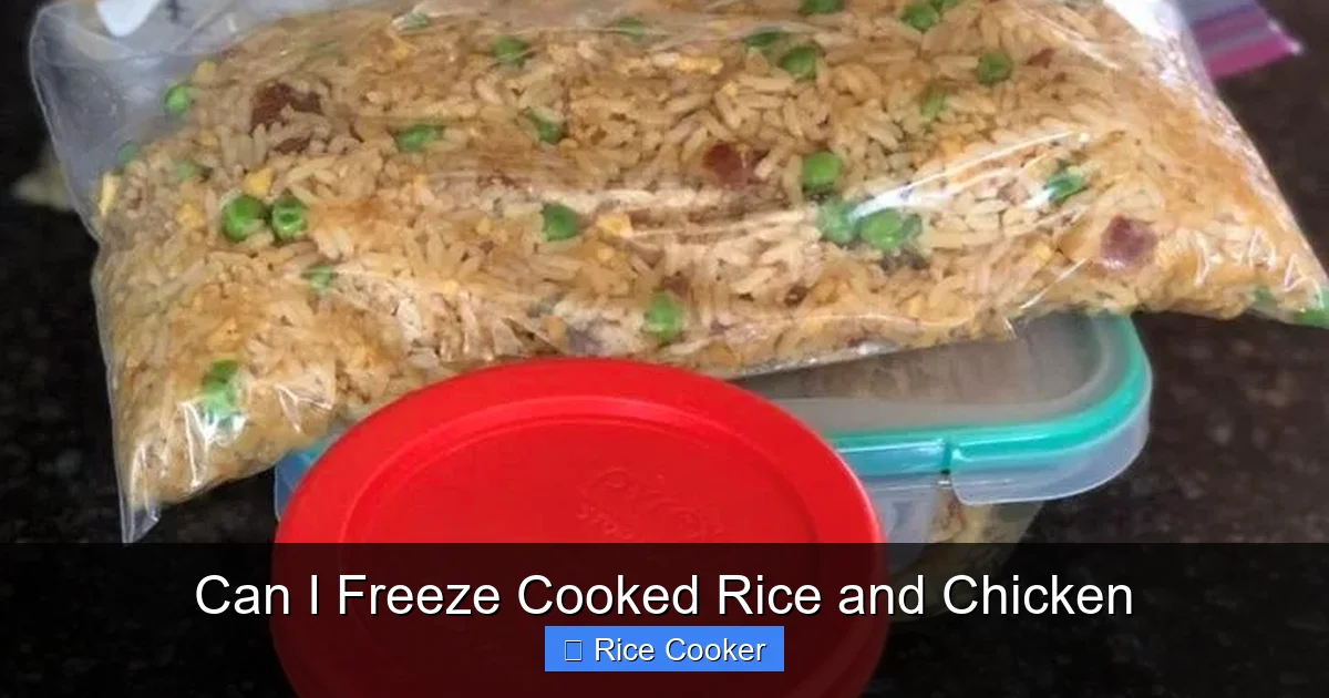 Can I Freeze Cooked Rice and Chicken