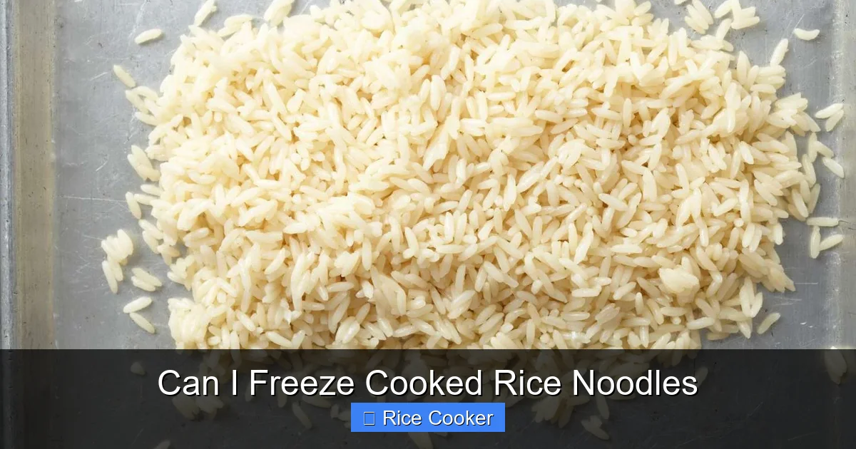 Can I Freeze Cooked Rice Noodles