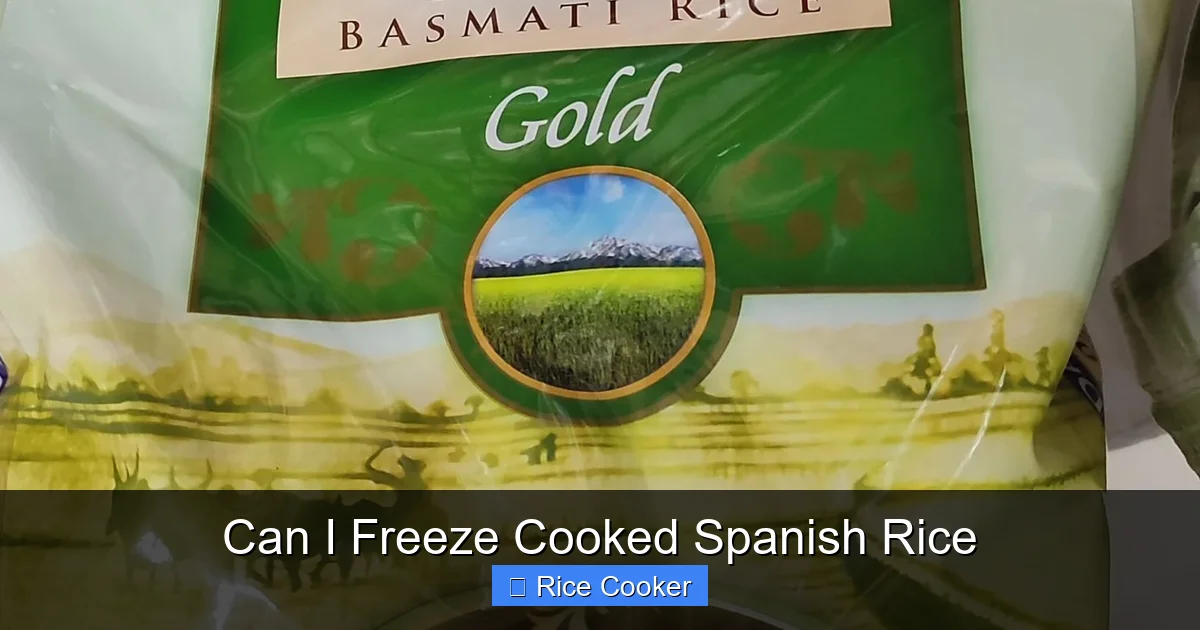 Can I Freeze Cooked Spanish Rice