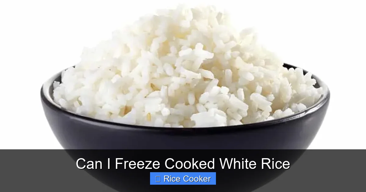 Can I Freeze Cooked White Rice