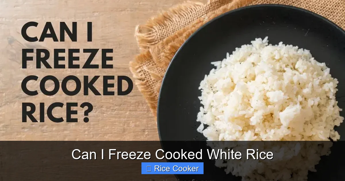 Can I Freeze Cooked White Rice