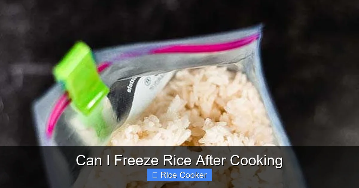 Can I Freeze Rice After Cooking
