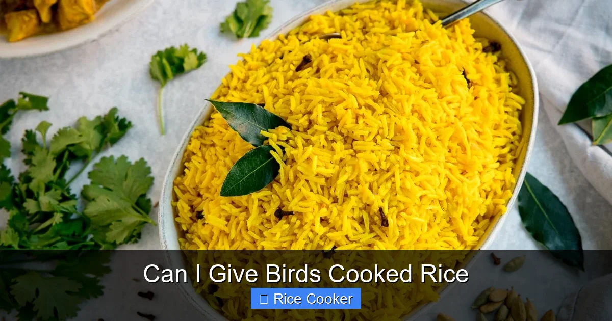 Can I Give Birds Cooked Rice