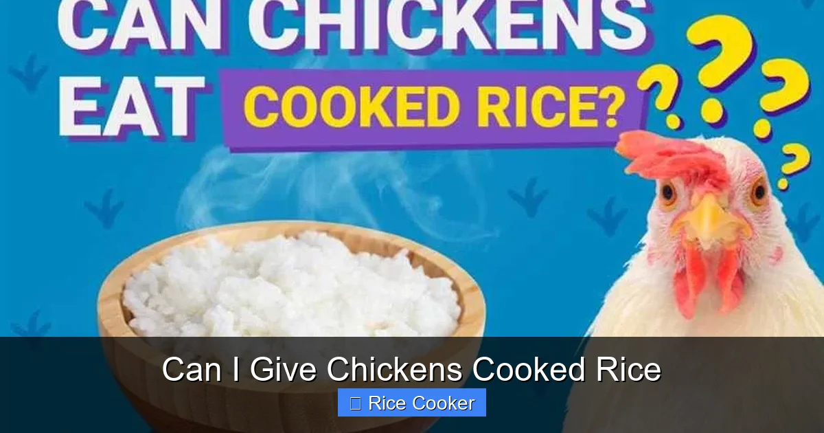 Can I Give Chickens Cooked Rice