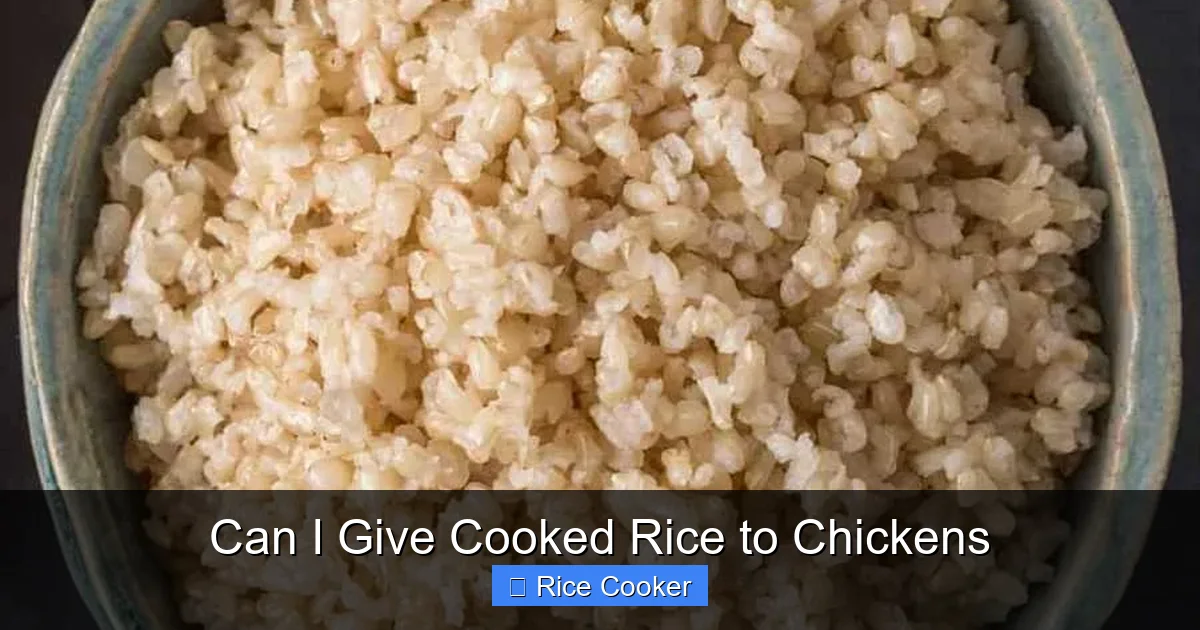 Can I Give Cooked Rice to Chickens