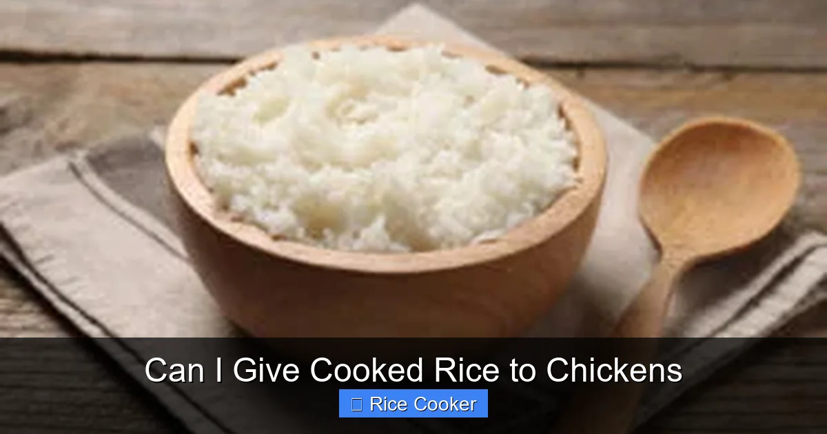 Can I Give Cooked Rice to Chickens