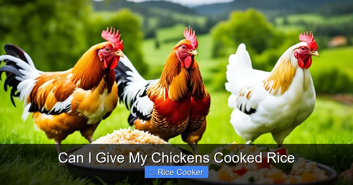 Can I Give My Chickens Cooked Rice