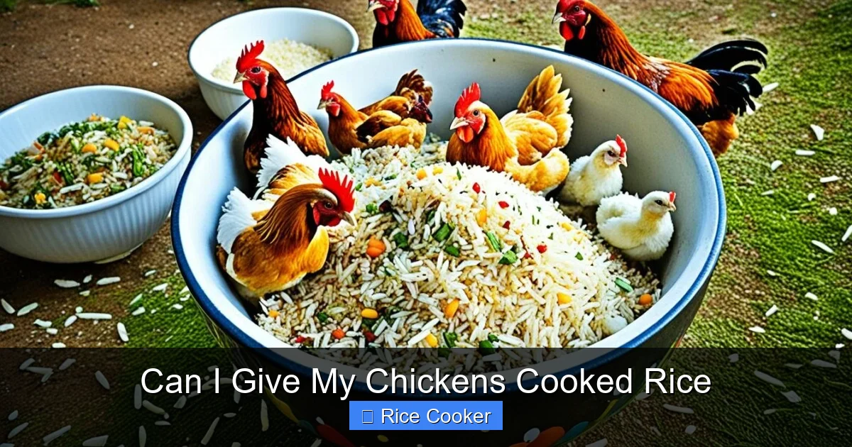 Can I Give My Chickens Cooked Rice