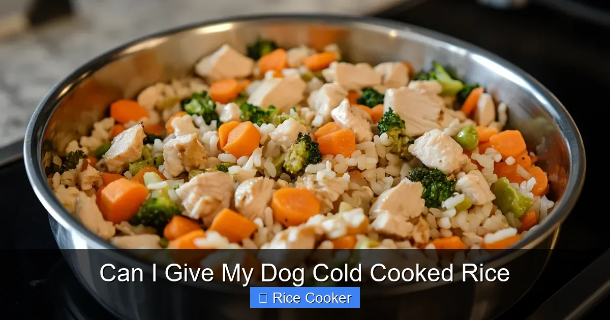 Can I Give My Dog Cold Cooked Rice