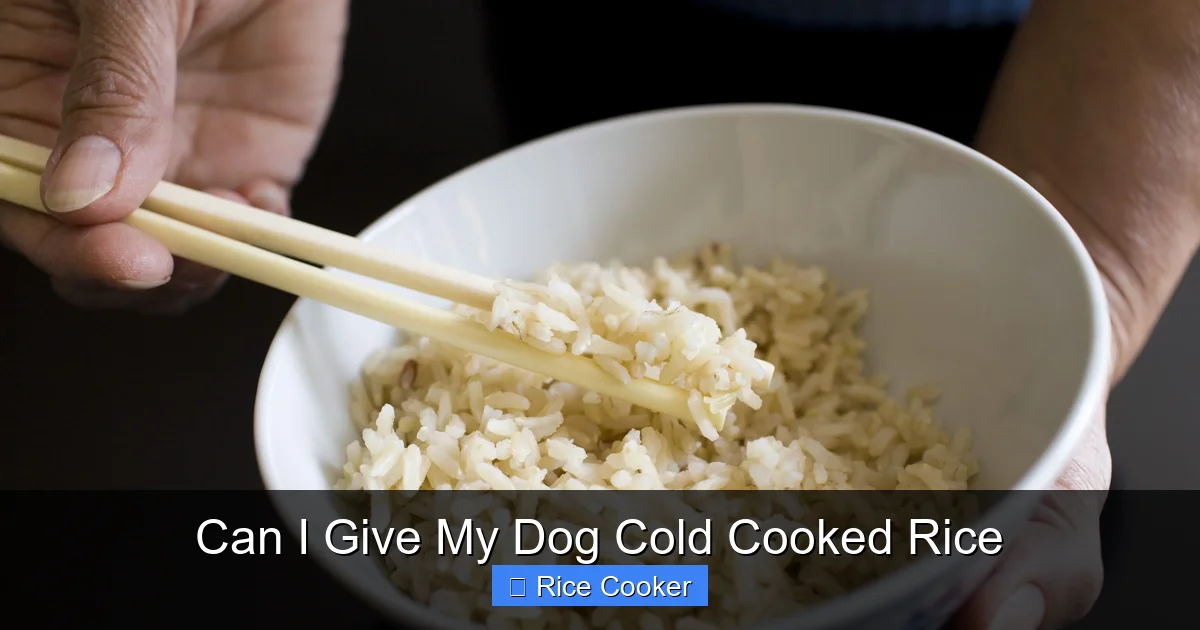 Can I Give My Dog Cold Cooked Rice